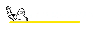 MICHELIN təkərləri