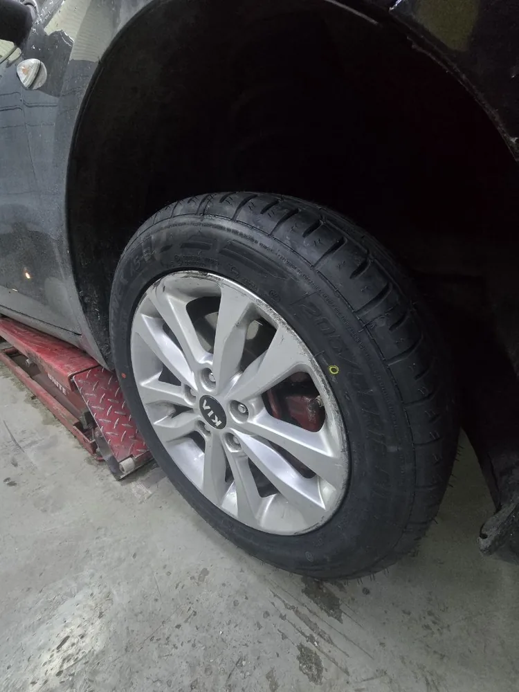 NANKANG Sportnex AS-3 205/55R16 91V təkəri